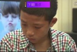 变形记李锦鉴在线观看,探寻人性与命运的交织